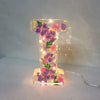 Laatste Dag 1+1 Gratis!🔥I Dreamora™ Betoverde Bloemenlamp